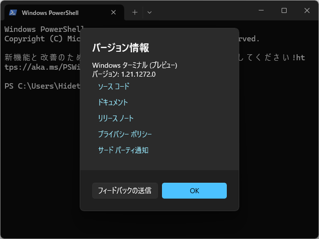 「Windows Terminal Preview」v1.20.10293.0