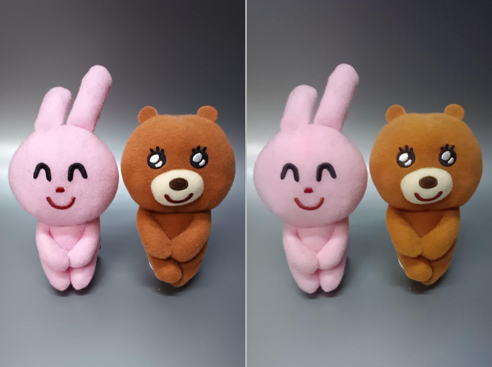 カメラの画質比較。標準バージョン（右）は全体的にのっぺりとしており、Plusバージョン（左）では表現できている布地のディティールがほぼ失われている