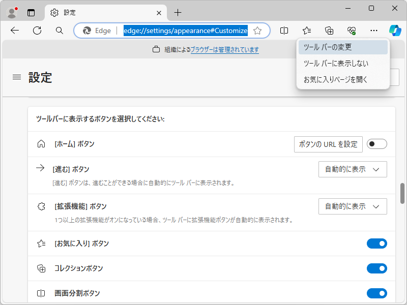 ［外環］設定ページ（edge://settings/appearance）
