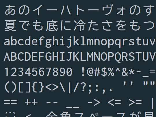 日本人プログラマー向けのコーディングフォント「Bizin Gothic」（ビジン ゴシック）が5月28日、試験的にリリース