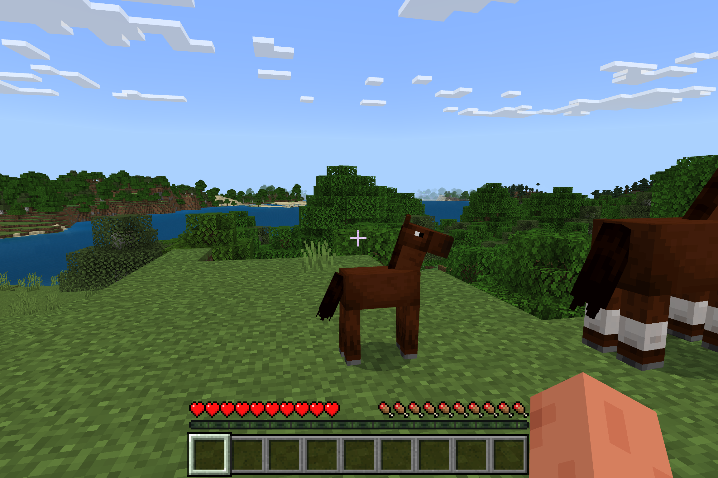 「Minecraft」は動作した