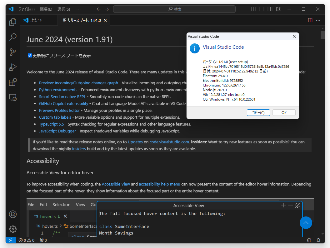 「Visual Studio Code」v1.91.0