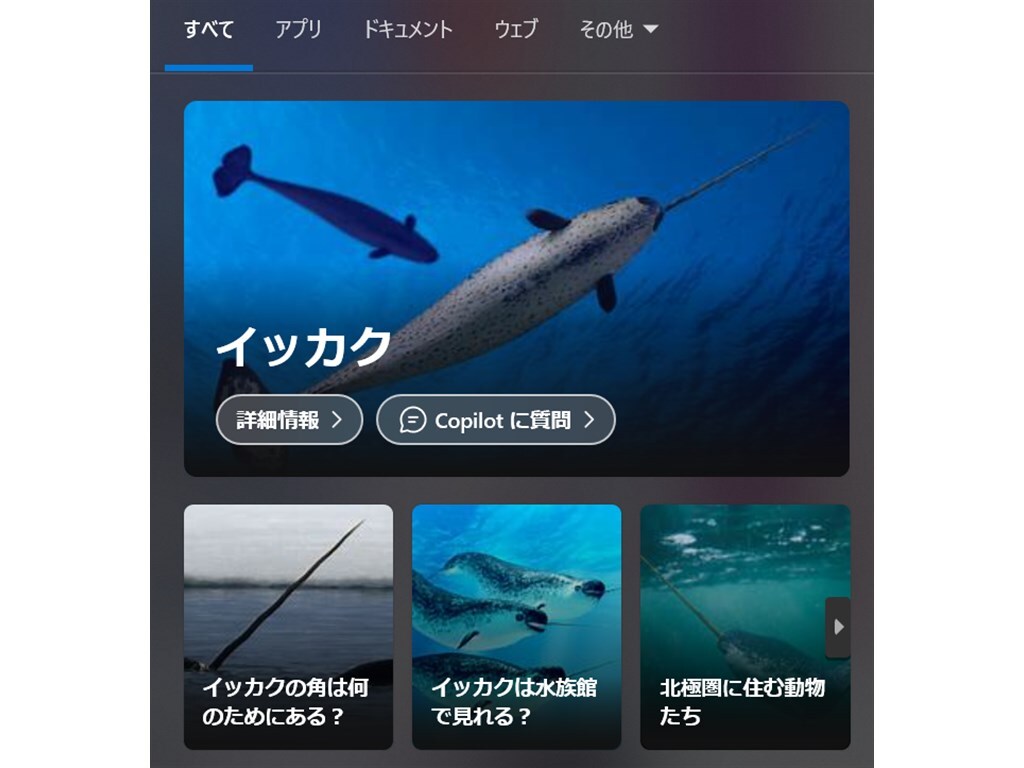 「検索ハイライト」（Search highlights）機能