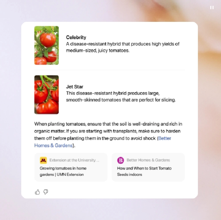 テキストだけでなく、画像や動画も含む検索結果を表示