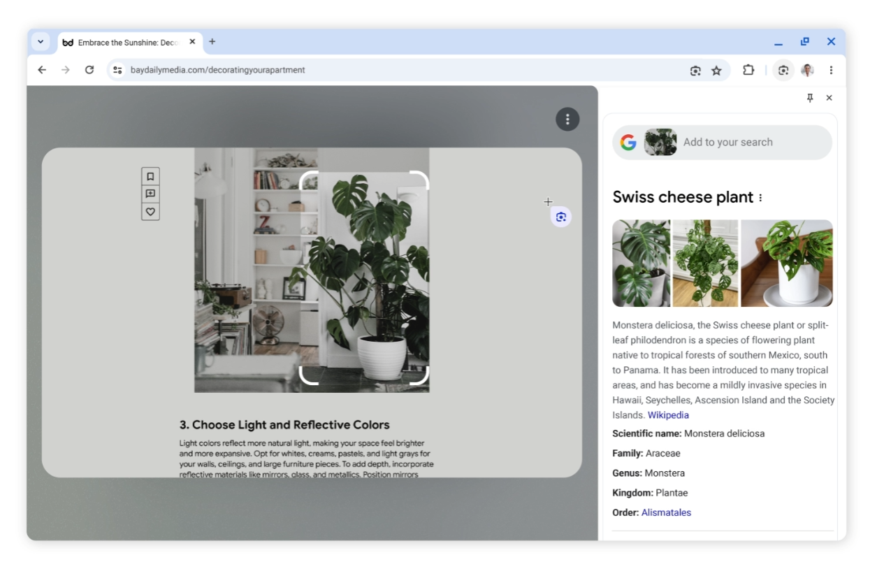 写真に写っている植物を選んで、その名前や育て方を検索
