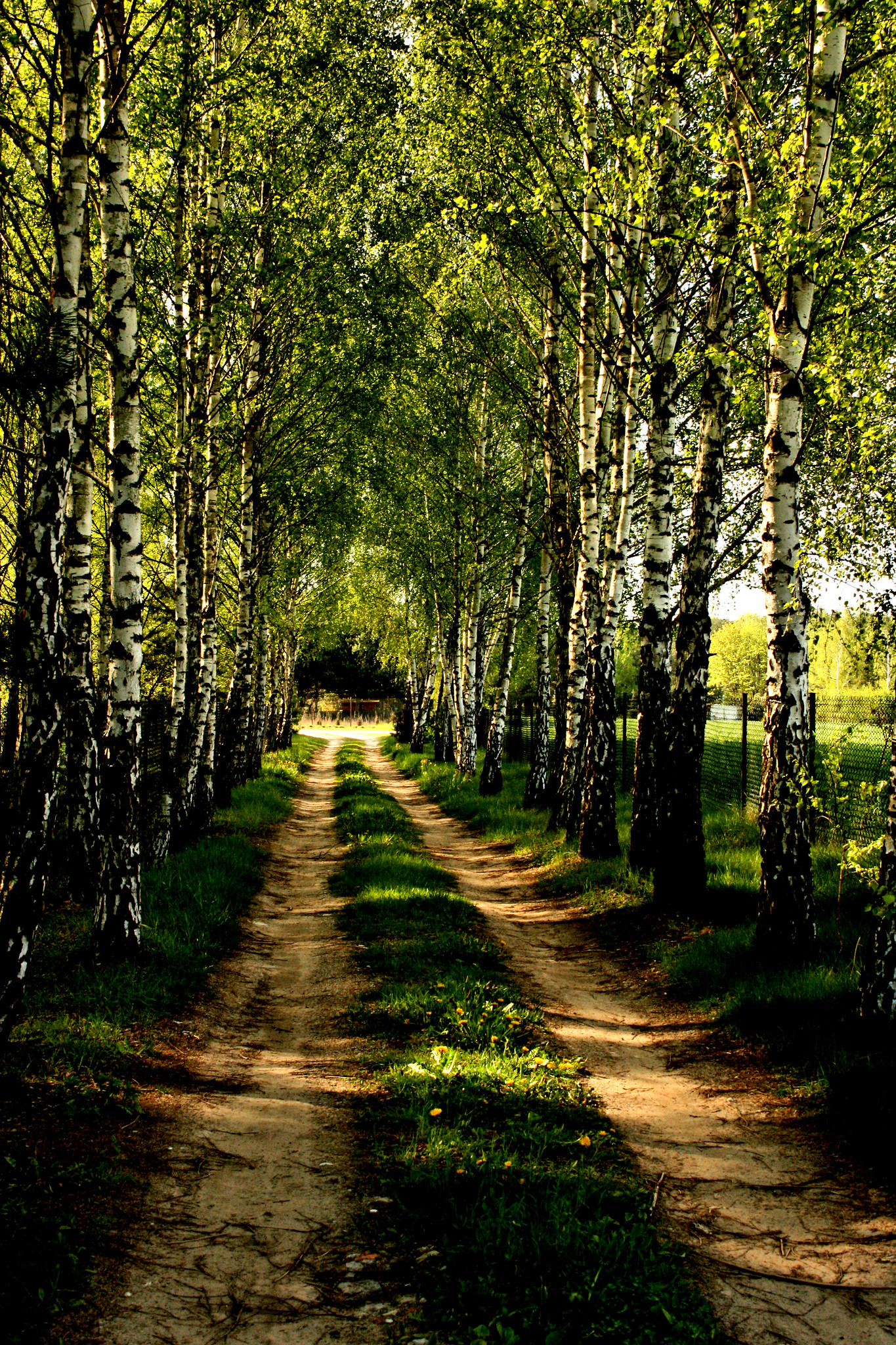 「megalith-10m」に収録されている画像の例