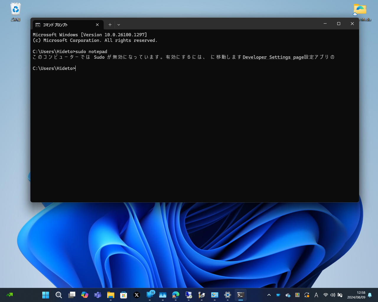 初回利用時はシステムで「Sudo」コマンドが有効ではないという旨のメッセージが表示される