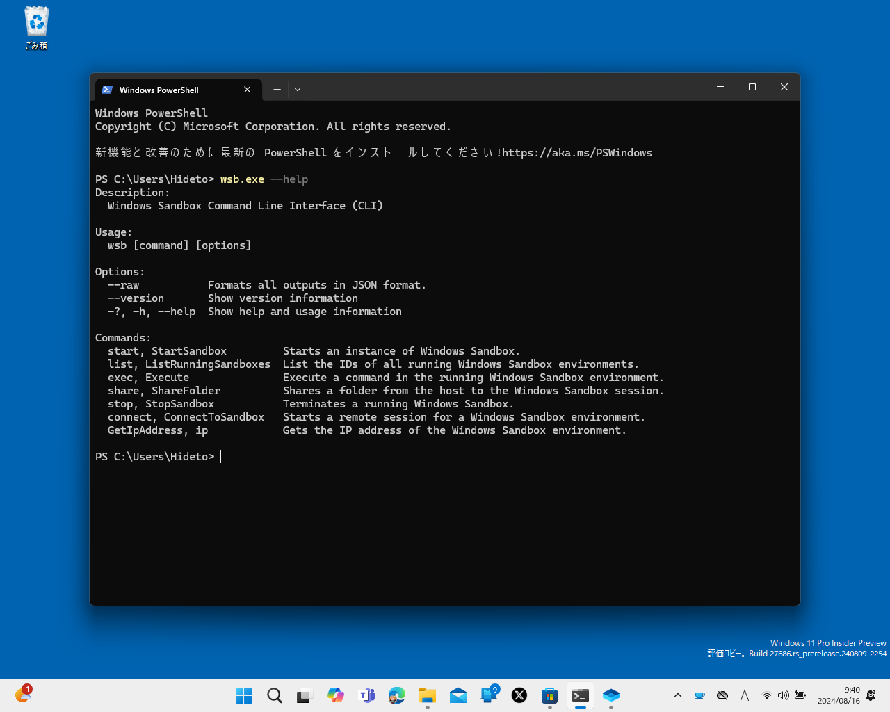 「wsb.exe –-help」コマンド