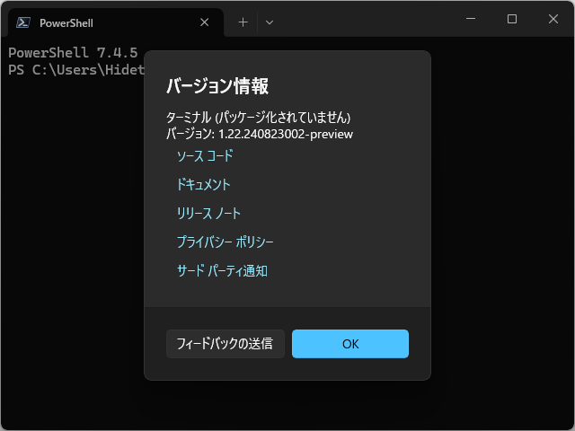 「Windows Terminal Preview」v1.20.10293.0