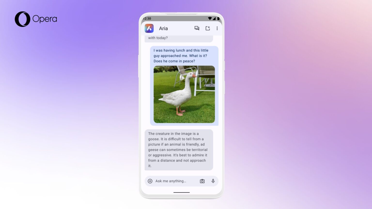 謎の生き物について写真でAriaに質問