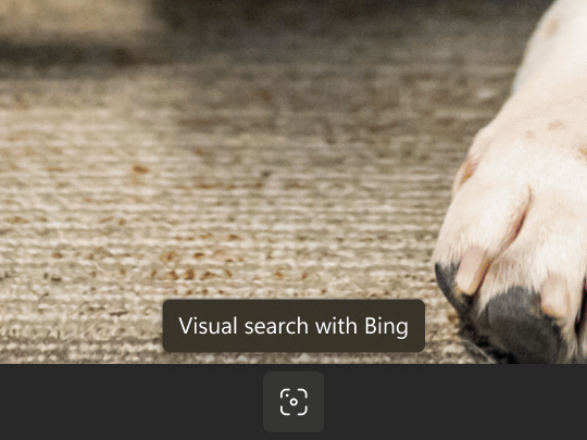 ビューワー下部中央に「Bing」に画像検索するコマンドボタン