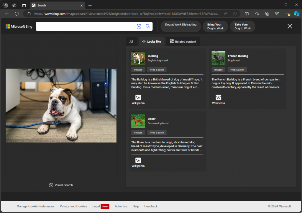 結果は「Microsoft Edge」で表示されるようだ