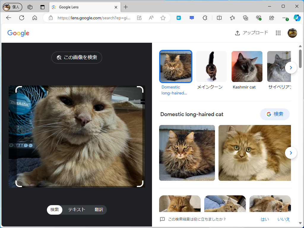 ファイルのアップロードが完了。スマホの写真で「Google 画像検索」ができた