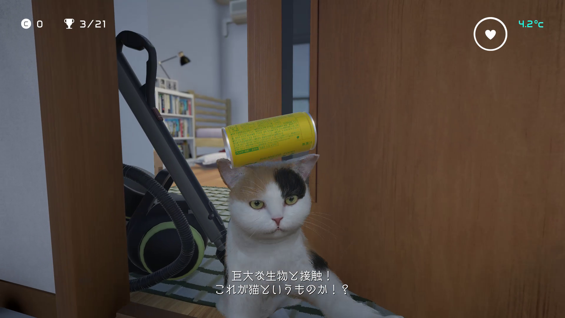 猫の頭を越えてゆけ