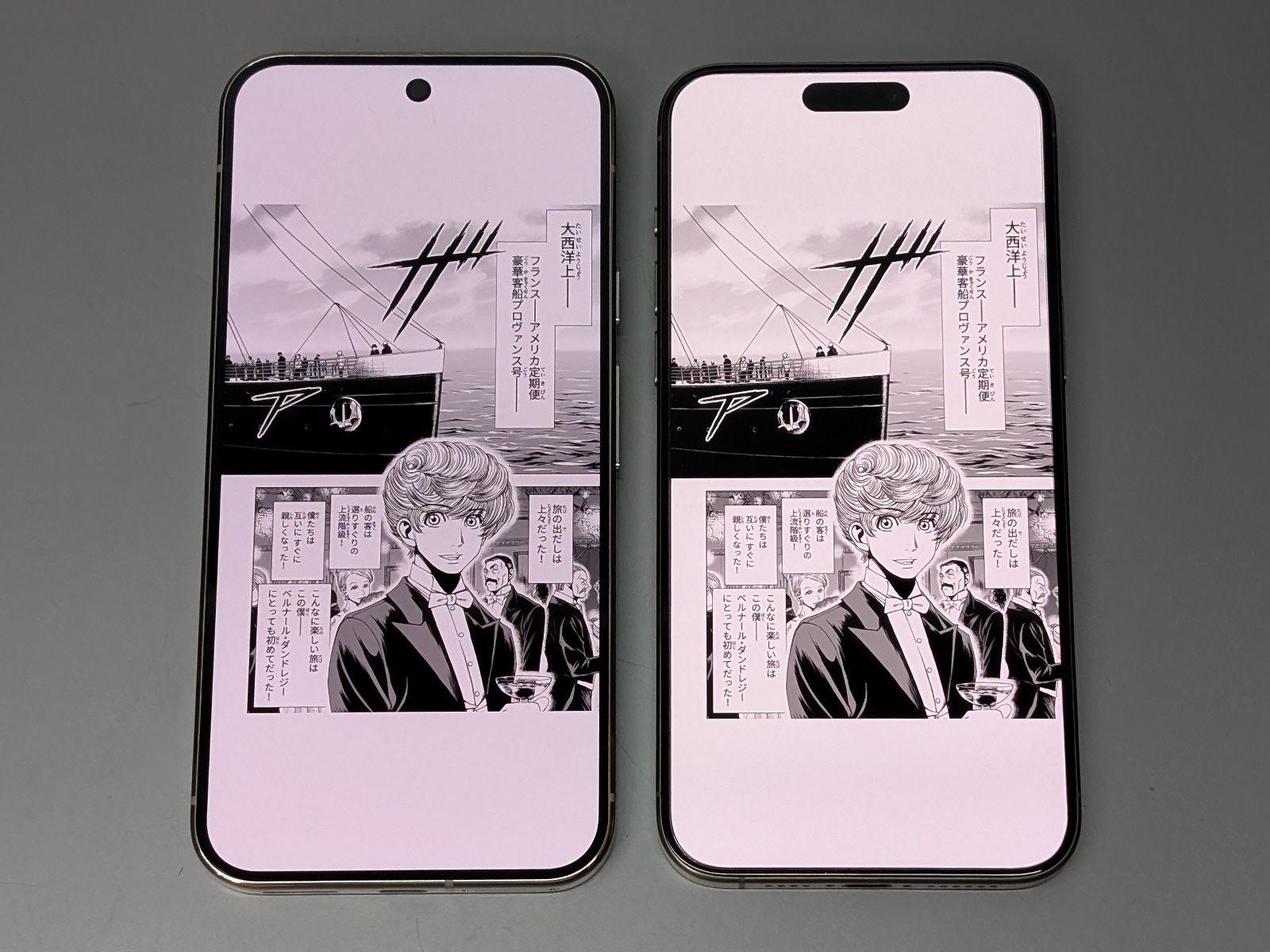 iPhoneの「Pro Max」シリーズ（右）も、アスペクト比はおおむね同様。画面が6型後半であれば、画面の横幅はおおむね70mm前後となる