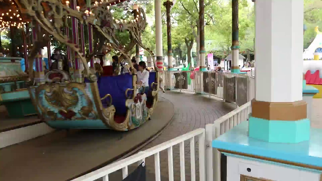 元動画のスクリーンショット（等倍切り抜き）