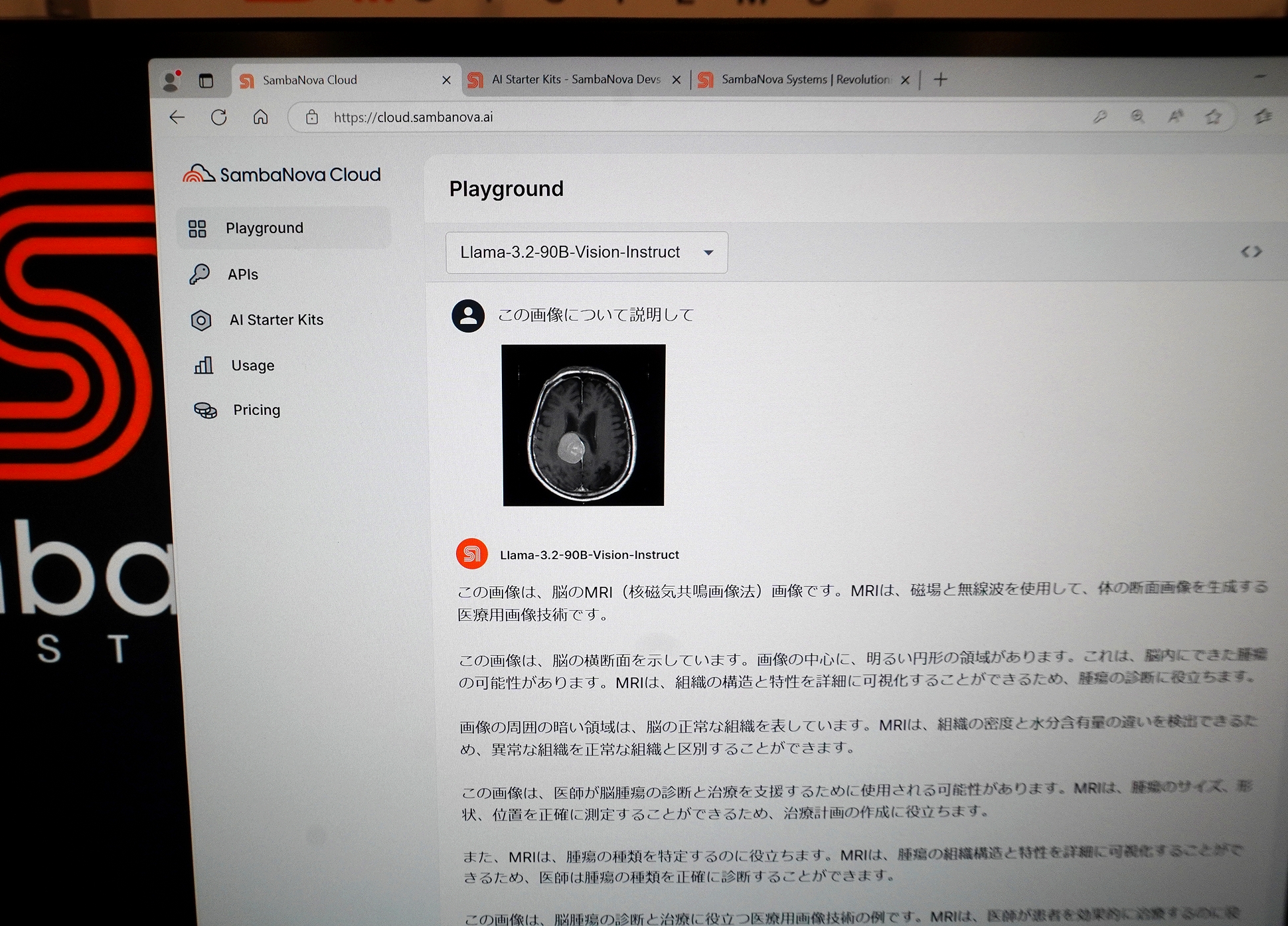 世界最速を謳うAI推論プラットフォーム「SambaNova Cloud」