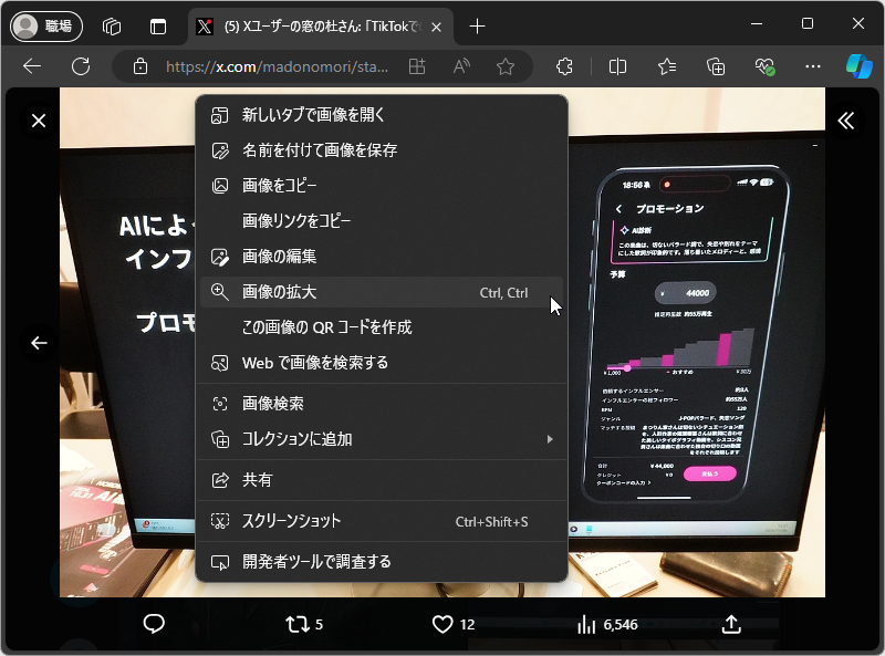 ［画像の拡大］項目