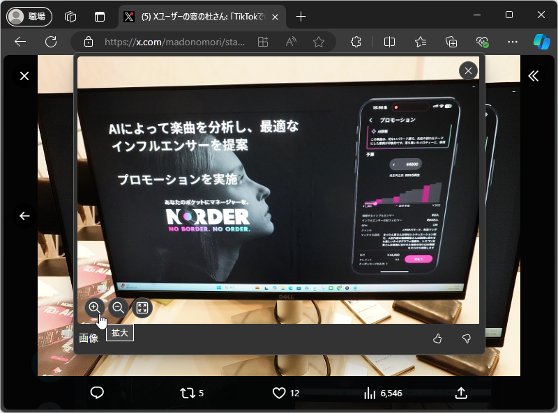 ［画像の拡大］項目を選択するとポップアップで画像が開かれる