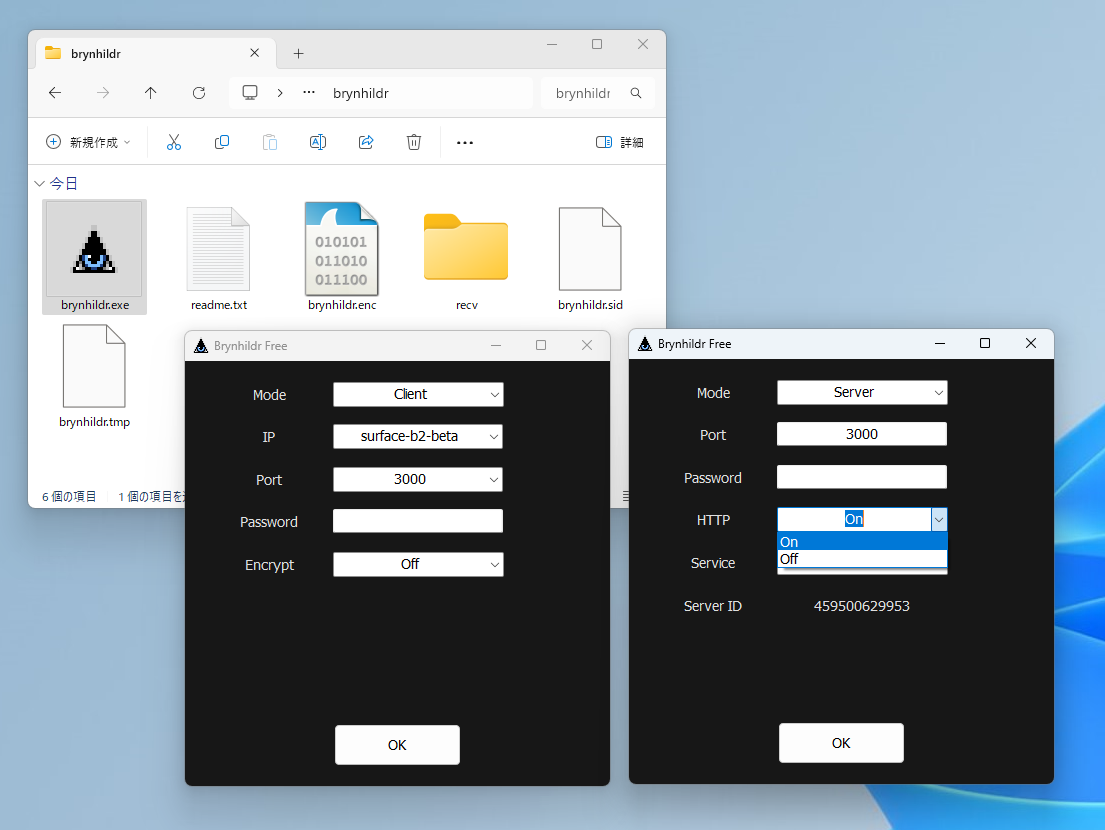 バイナリはサーバー・クライアント共通。モードを切り替えて利用する