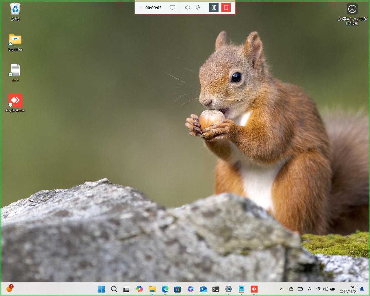 録画中のデスクトップ