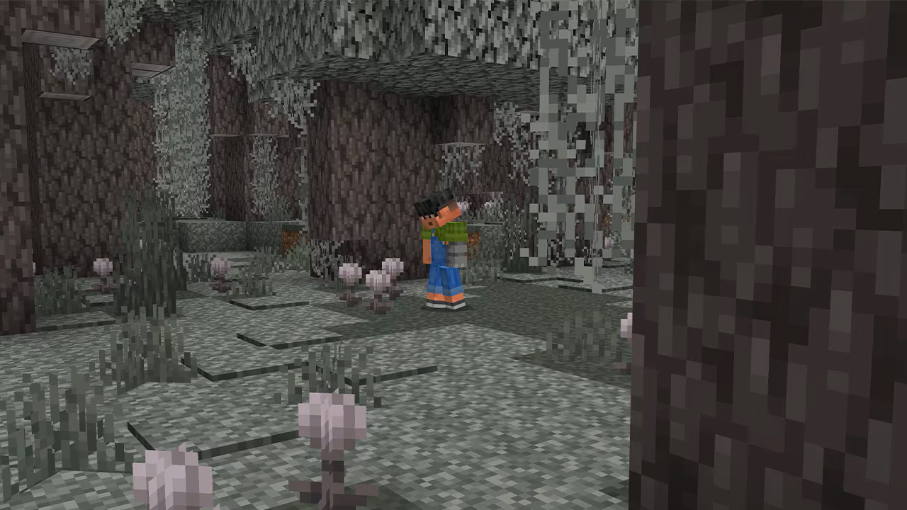 ヒトミソウは昼には閉じている