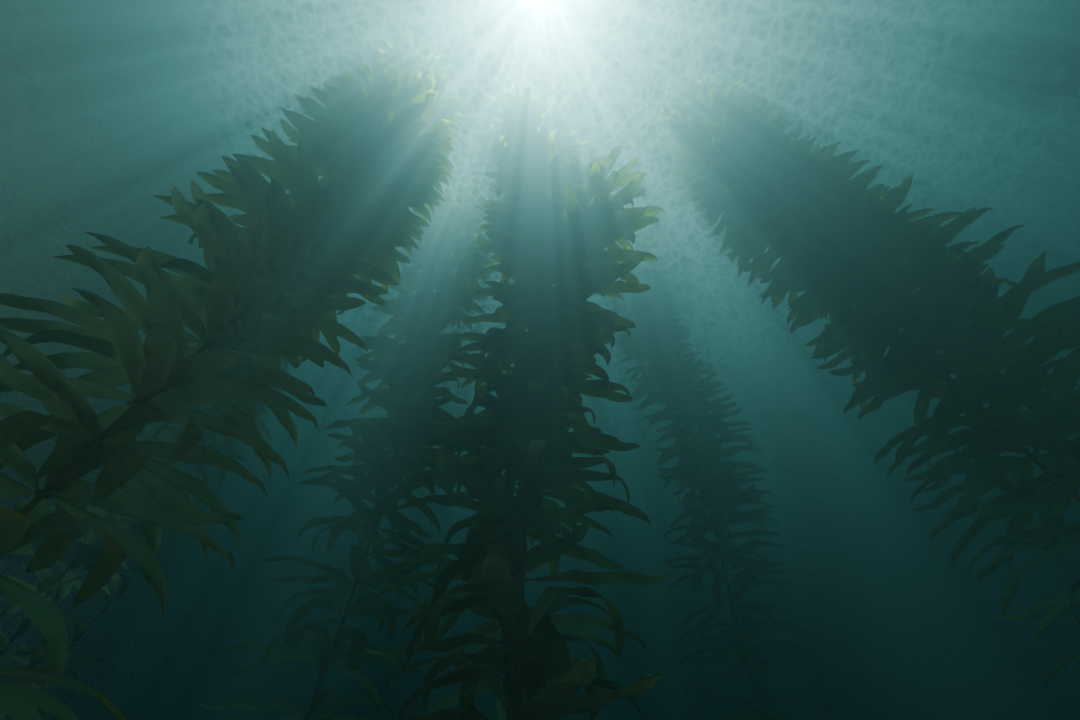 Fournier-Forand位相関数による水中のレンダリング例