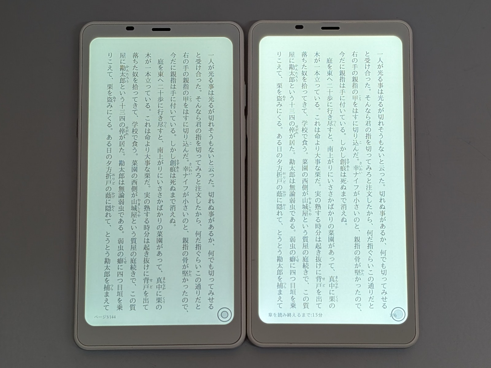 テキストを表示したところ。同じ表示設定にした状態では、行数、行あたりの文字数もまったく同じだ