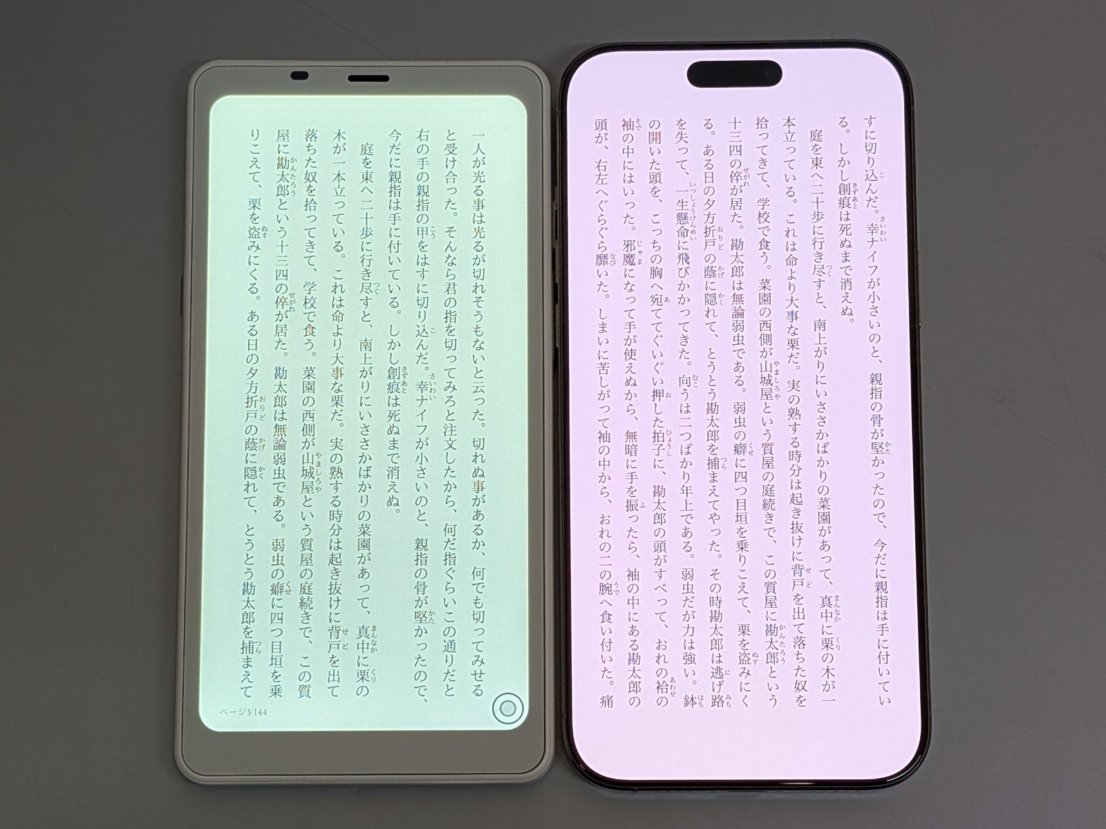 iPhone 16 Pro Max（右）との比較。もとの画面サイズが異なることから情報量は本製品のほうがやや少ない