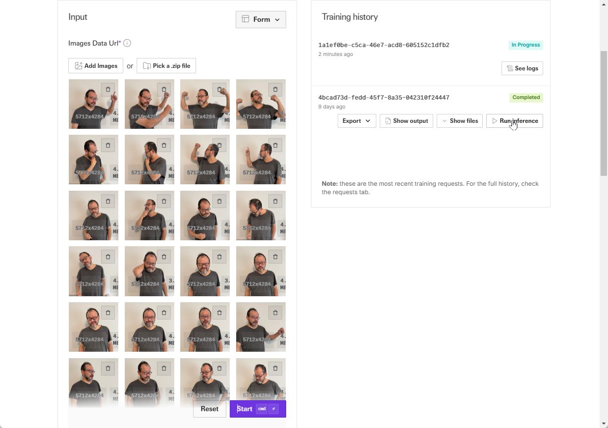 学習処理が「Completed」になったら［Run interence］をクリックする