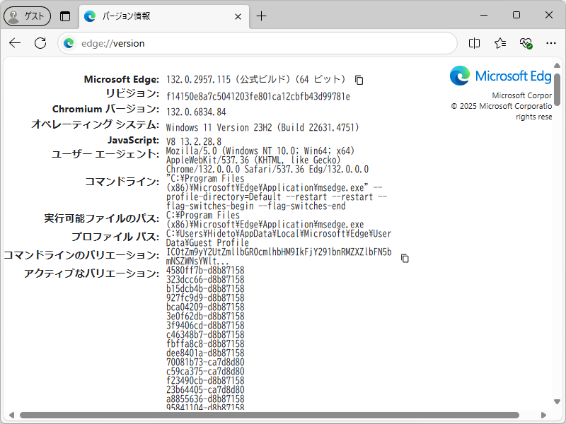「Microsoft Edge」v 132.0.2957.115