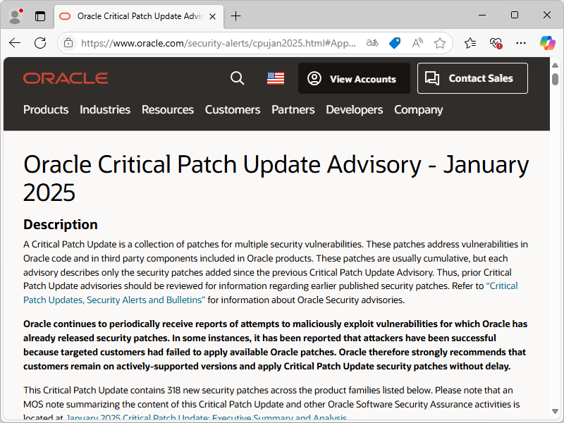 Oracle、2025年1月「Critical Patch Update」を実施