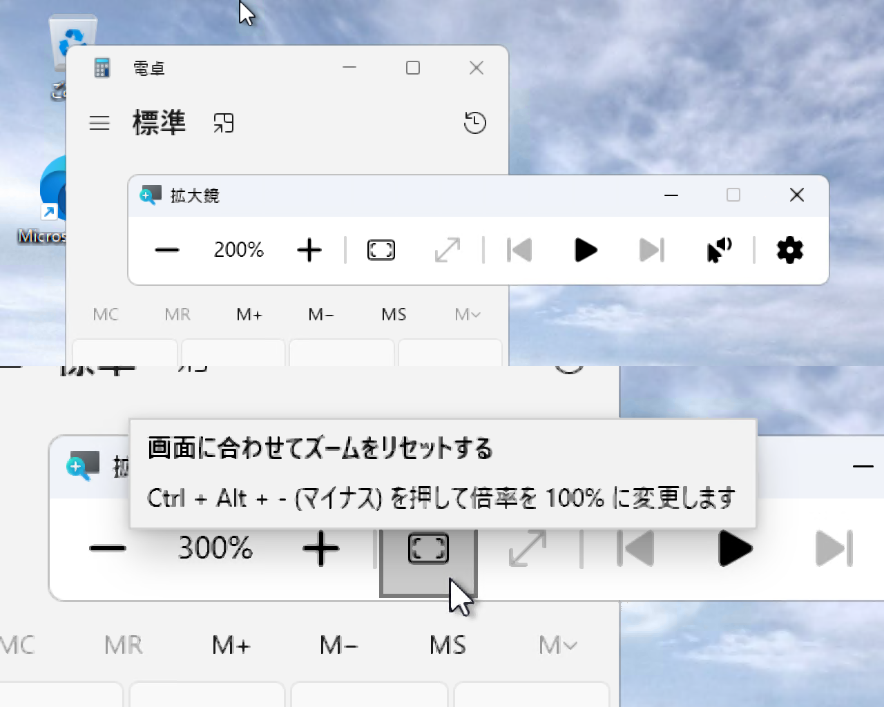 ズーム倍率を100％にリセットするボタン