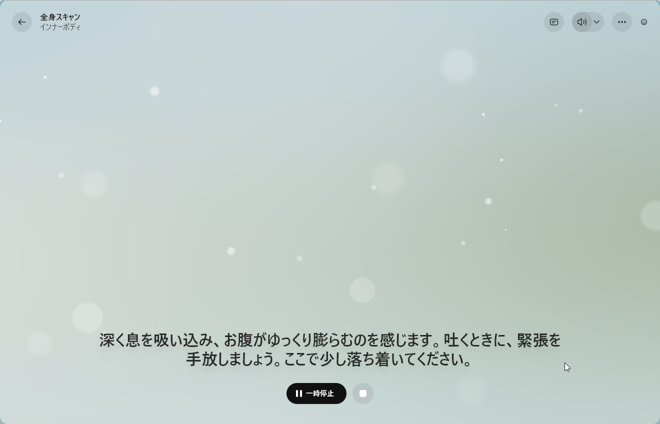 ［全身スキャン］