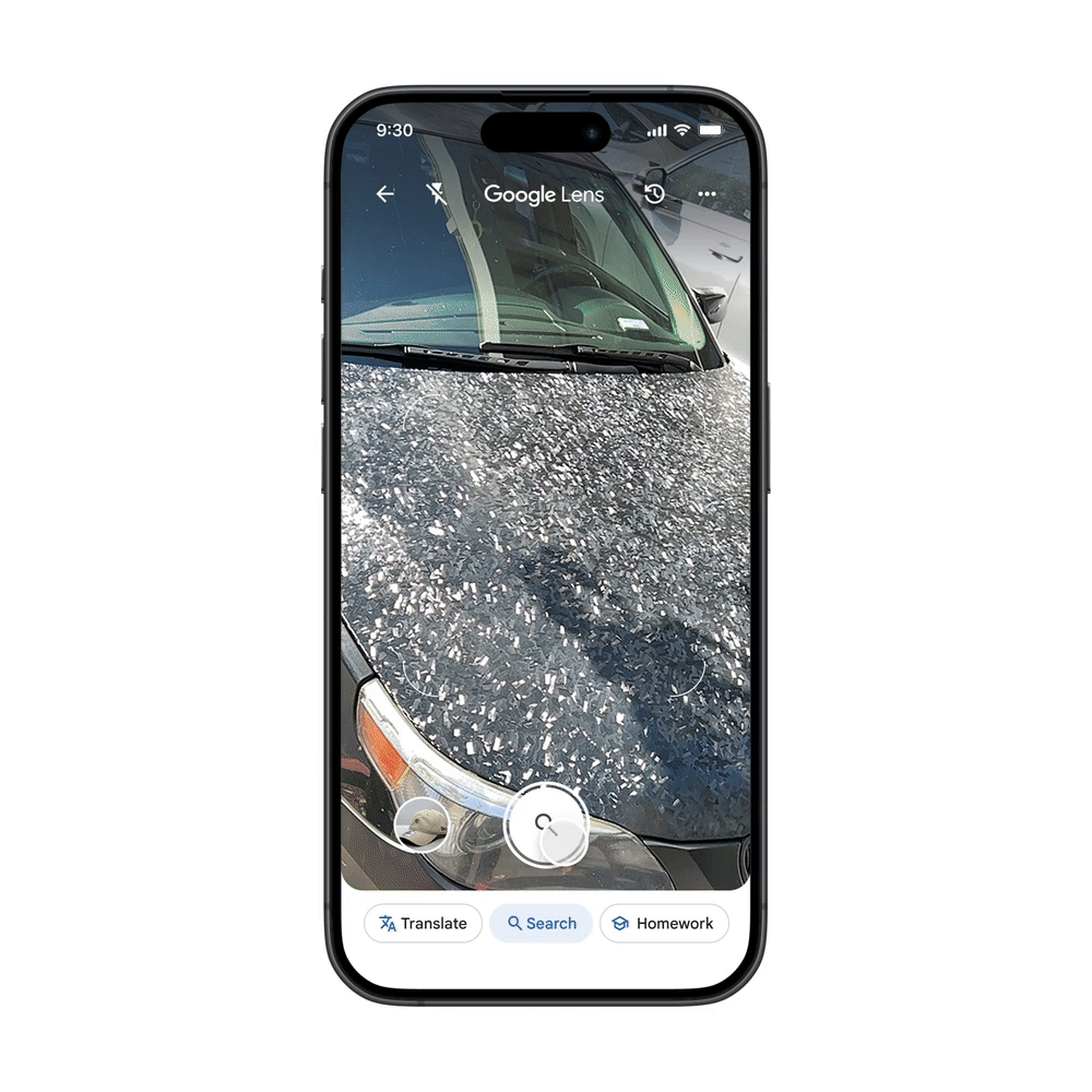 撮影した対象をAIが識別