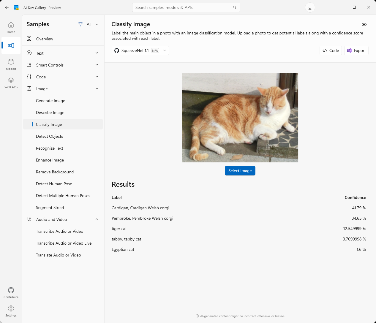 ［Classify Image］。画像分類モデルを用いて、写真にラベルを付ける。各ラベルには信頼度スコアも表示される