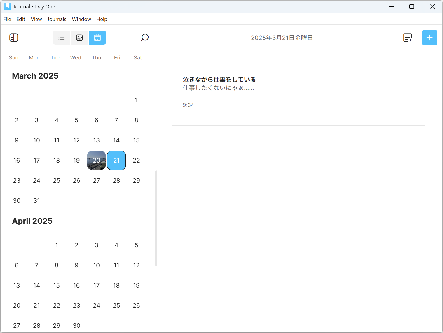 レンダービューなどを活用してあとで見返せる