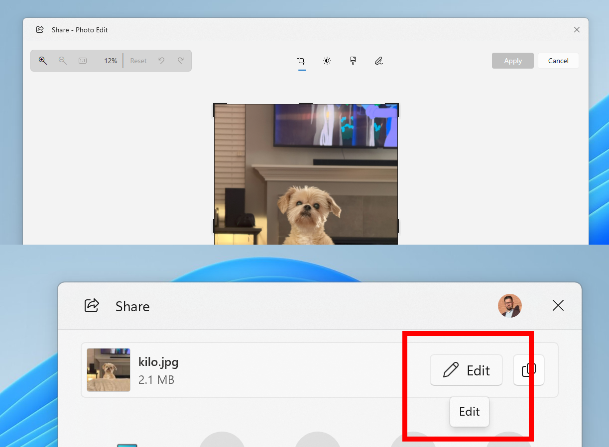 「Windows Share」に追加されたインライン画像編集機能
