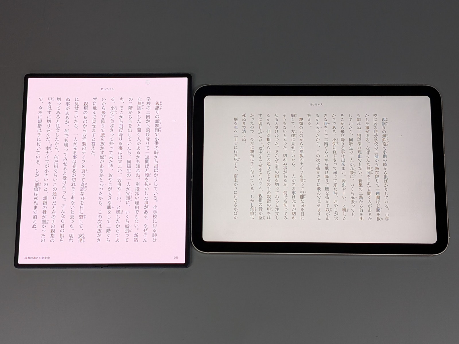 iPad mini（右）との比較。テキストコンテンツの場合、横長での表示はやや間延びする印象があるが、本製品ではそれもない