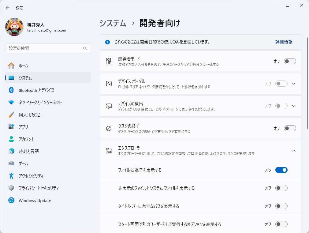 現行の［システム］－［開発者向け］設定ページ
