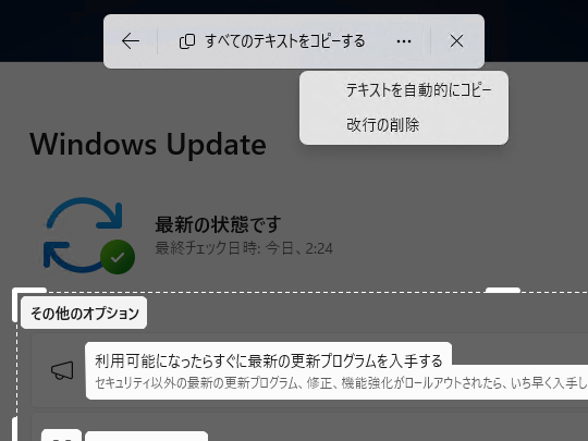 2つのオプションが利用可能