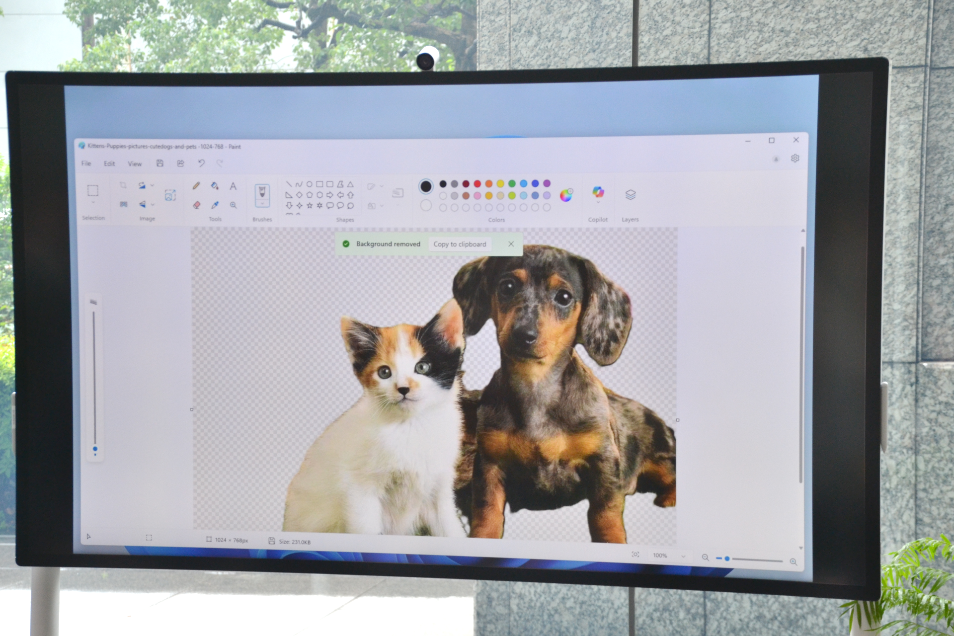 「ペイント」で背景消去が即実行される