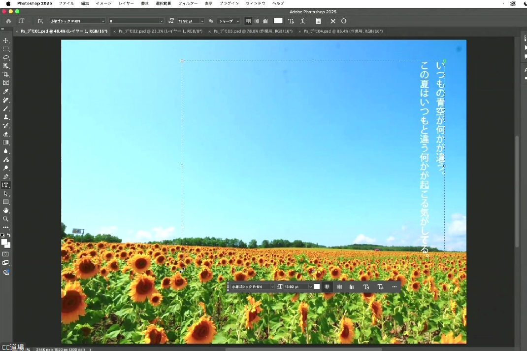 バウンディングボックスにテキストを入力