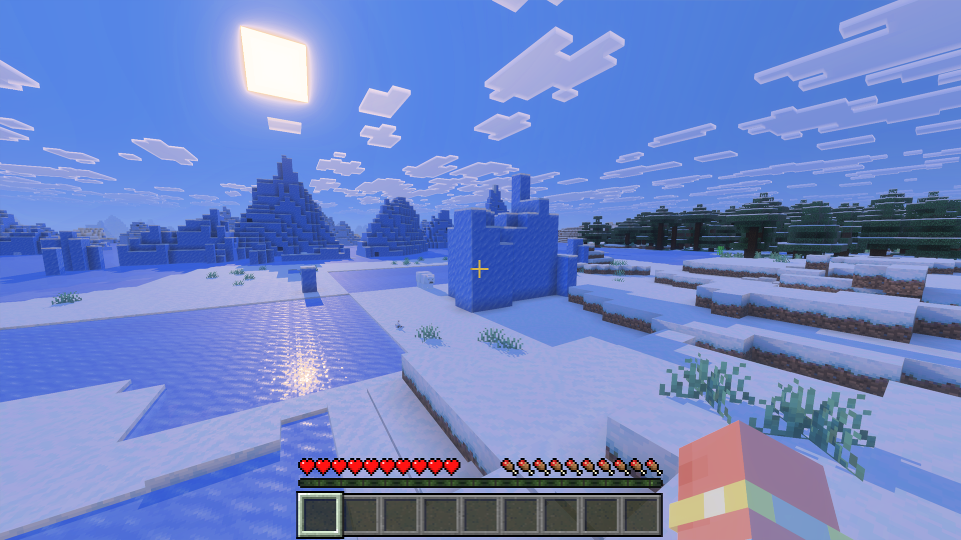 別のバイオームでも見た目が大きく変わっている