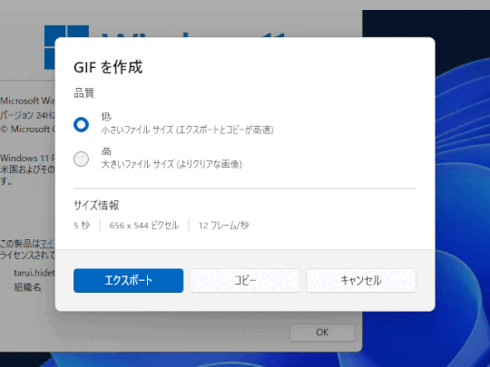 アニメーションGIFを生成する際は、画質を低・高の2種類から選べる