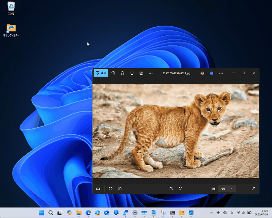 「Snipping Tool」のパーフェクト スクリーンショット