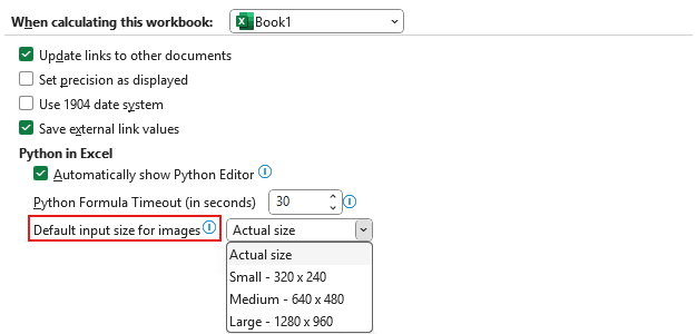 画像の入力サイズをカスタマイズする設定