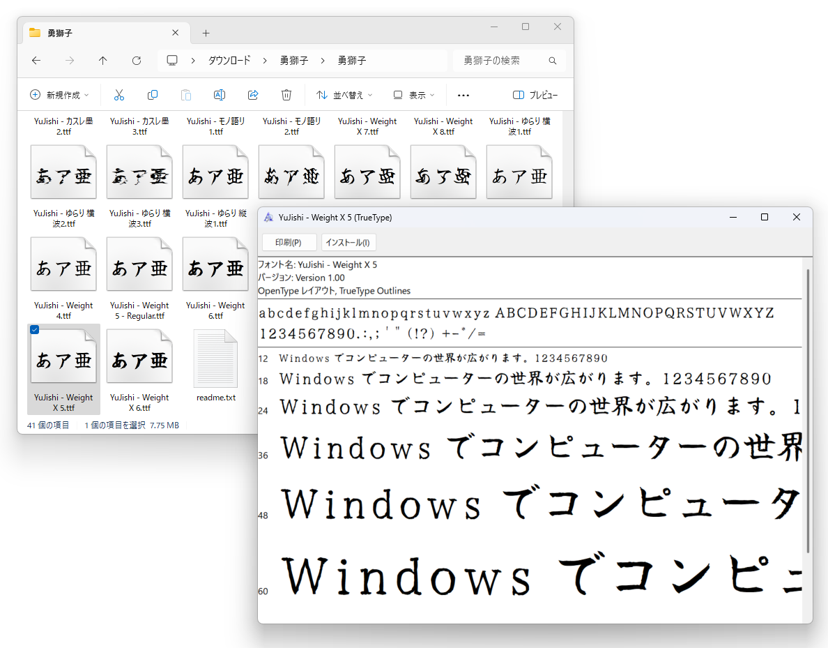 各ウェイトも含めると41ものフォントファイルが用意されている