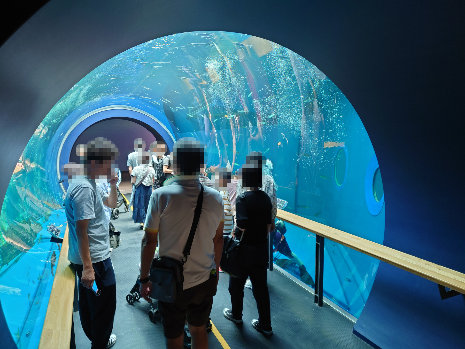 筆者一家のお盆休みのメインイベントだった<a href="https://www.biwahaku.jp/" class="n" target="_blank">琵琶湖博物館</a>は、お盆時期でもそれほど混まなかった。トンネル水槽など充実した展示で、子供向けにもおすすめ