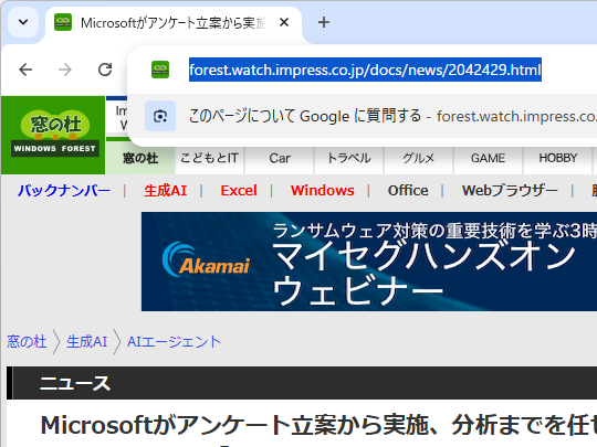 オムニバーの［このページについて Google に質問する］コマンド